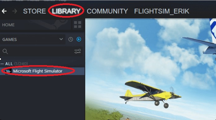 flight simulator