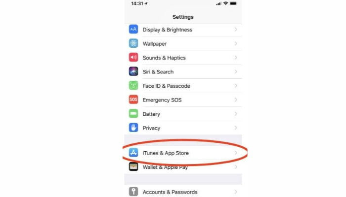 Go To iTunes & App Store