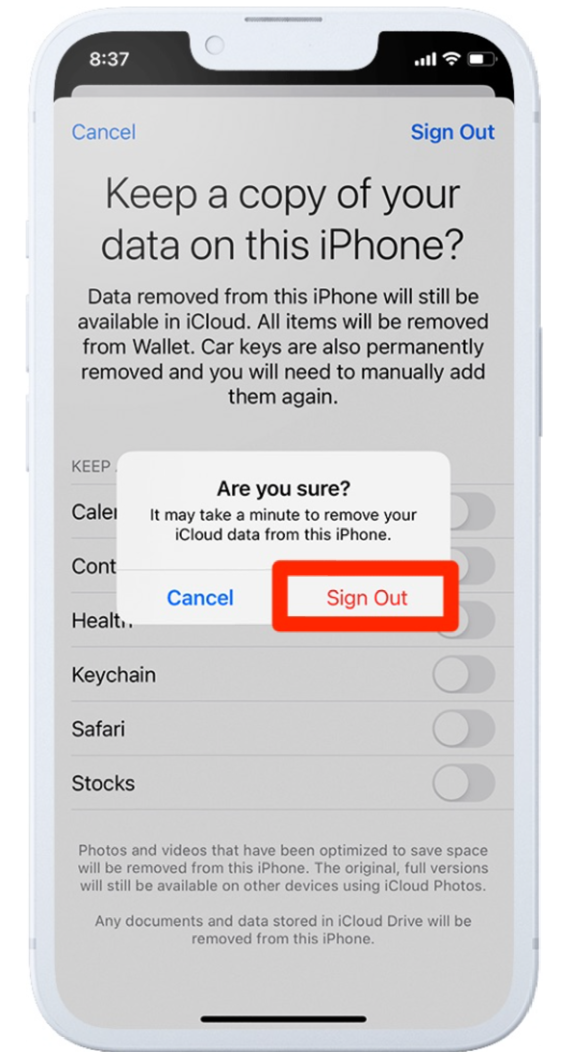 how to remove icloud from iphone/ipad with password step 5