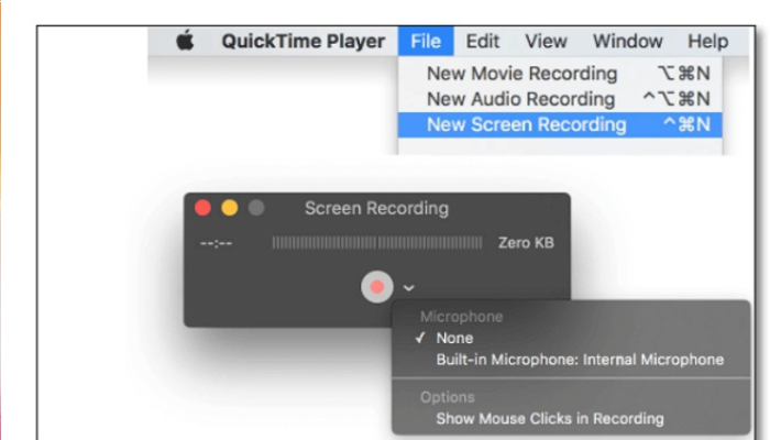 use quick time player to screen record duo video call on mac