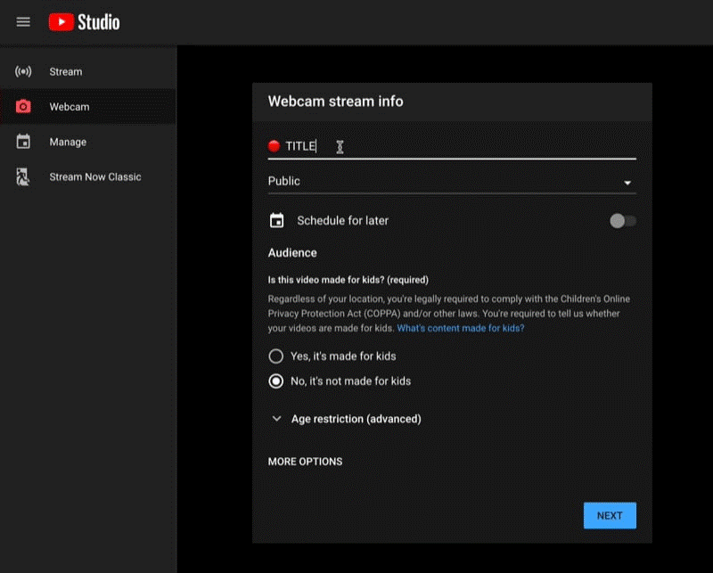 How to screen record on HP Laptop with Youtube Live Streaming