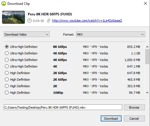start downloading videos using 4K Video Downloader