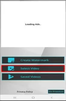 Choosing video to watermark
