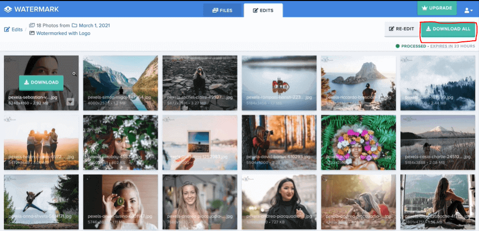 export the watermarked file from WATERMARK