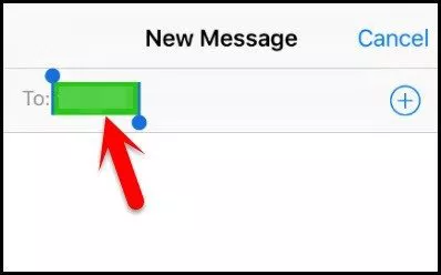 paste the message