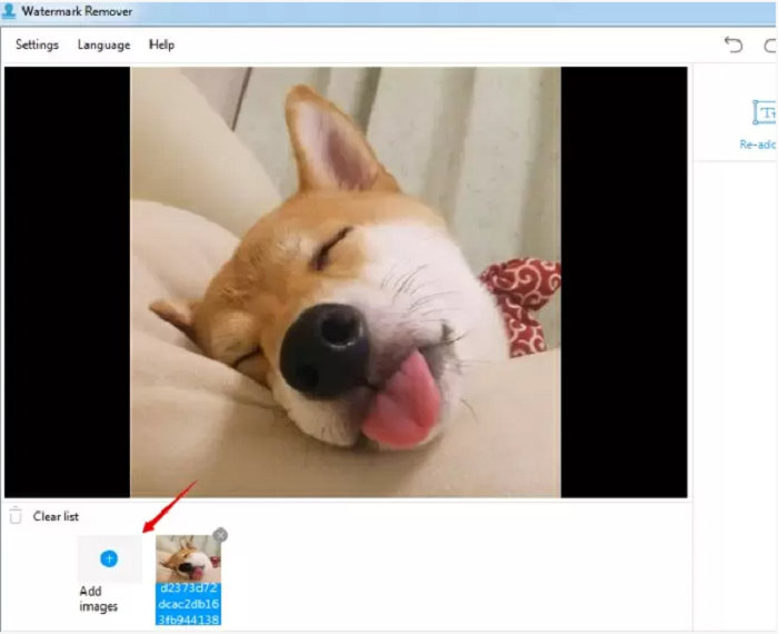 How to Add Watermark to Photos with Apowersoft Watermark Remover Step 1