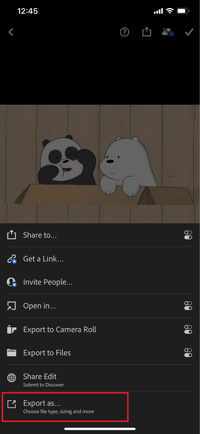 How to Add Watermark to Photos with Lightroom Step 3