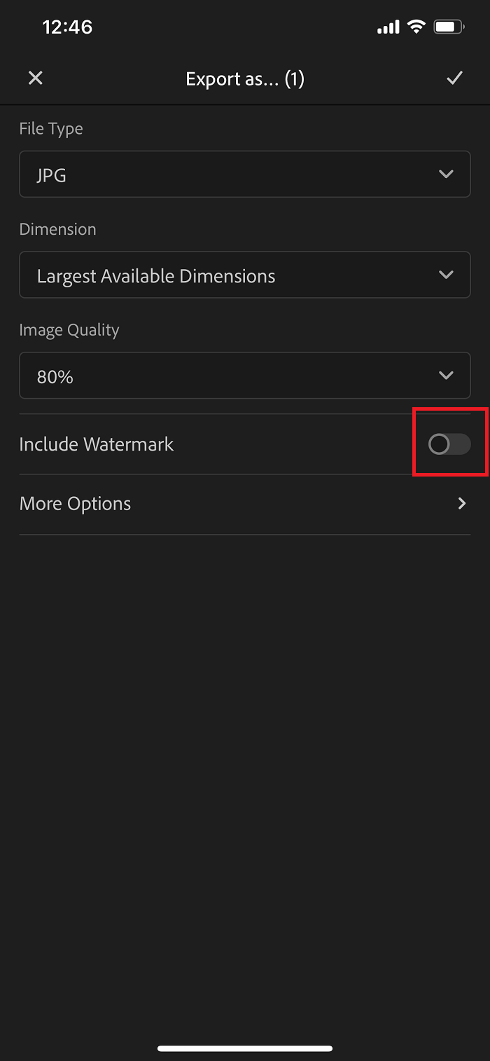 How to Add Watermark to Photos with Lightroom Step 4