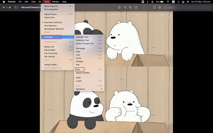 How to Add Watermark to Photos with Preview Step 2