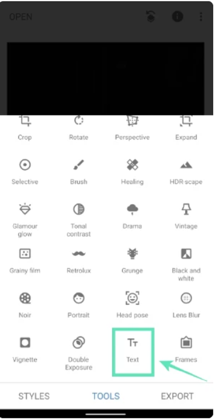 How to Add Watermark to Photos with Snapseed Step 2