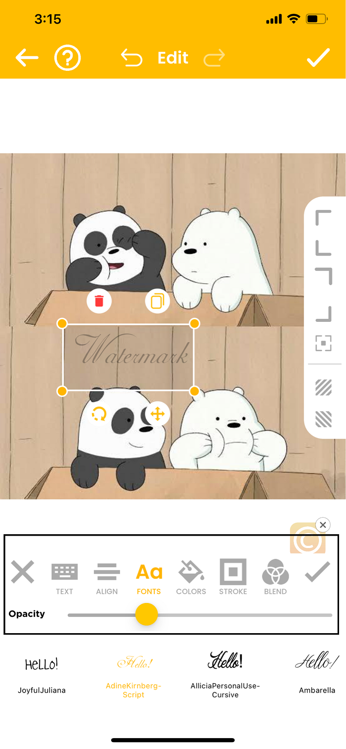 How to Add Watermark to Photos with Watermark Photo Step 3