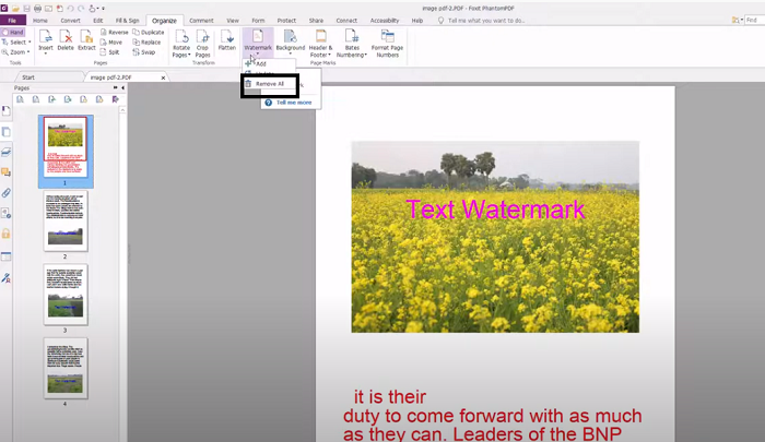 How to Remove Watermarks from PDF with Foxit Step 3