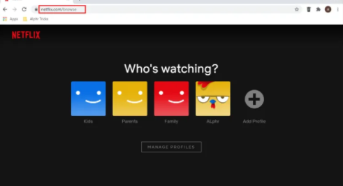 how to stream netflix on discord