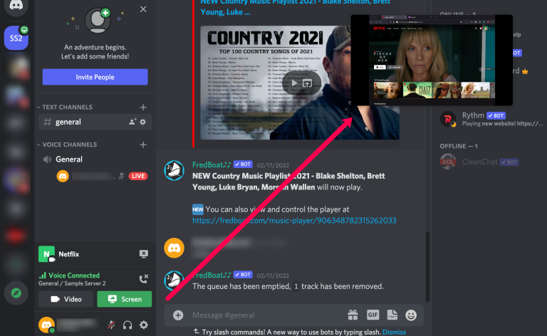 how to stream netflix on discord