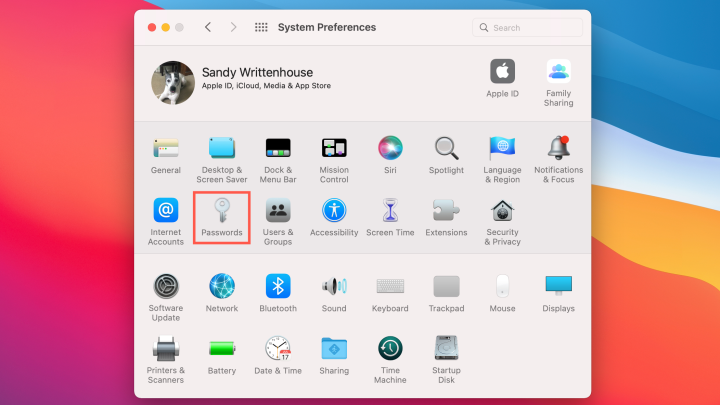 use system preferences to find saved passwords