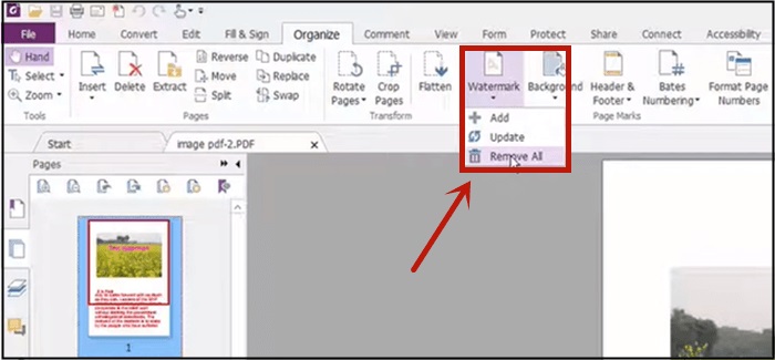 foxit choose remove all 