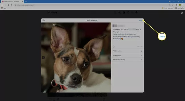 instagram web share photo