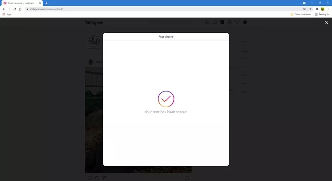 instagram web successfully shared