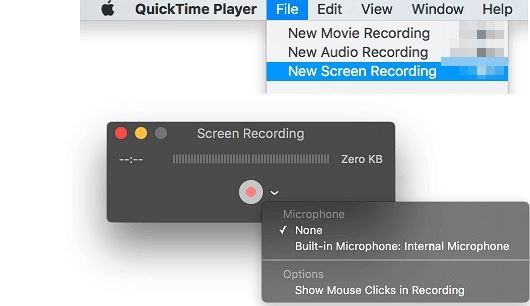 record video using quick time player