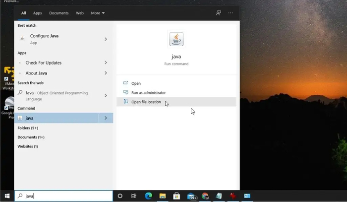 type java in search bar