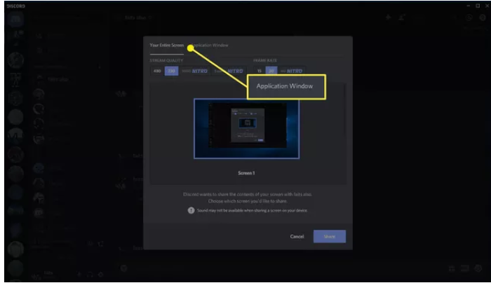 How to Share Screen on Discord PC Voice Call Alternative Step 4