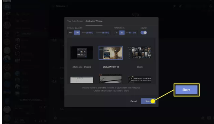 How to Share Screen on Discord PC Voice Call Alternative Step 5