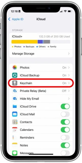 click on the icloud keychain