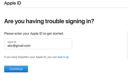 type your apple icloud id