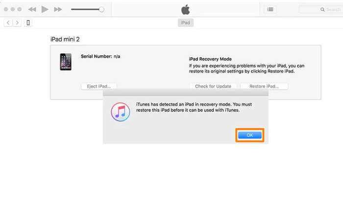 Unlock iPad Without Passcode Via Recovery Mode Step 3