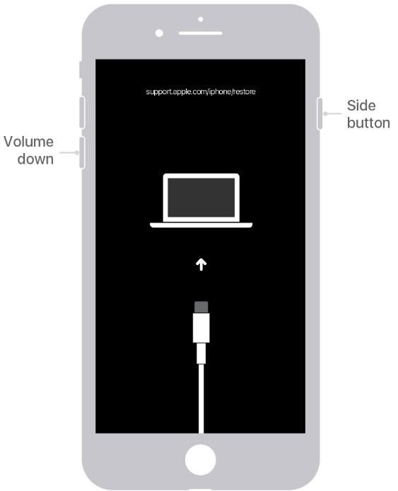 How to unlock iPhone with iTunes Step 3