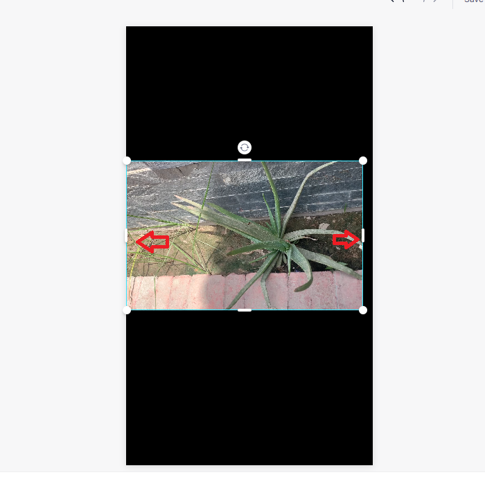 How To Resize Instagram Video With Veed.io Step 4