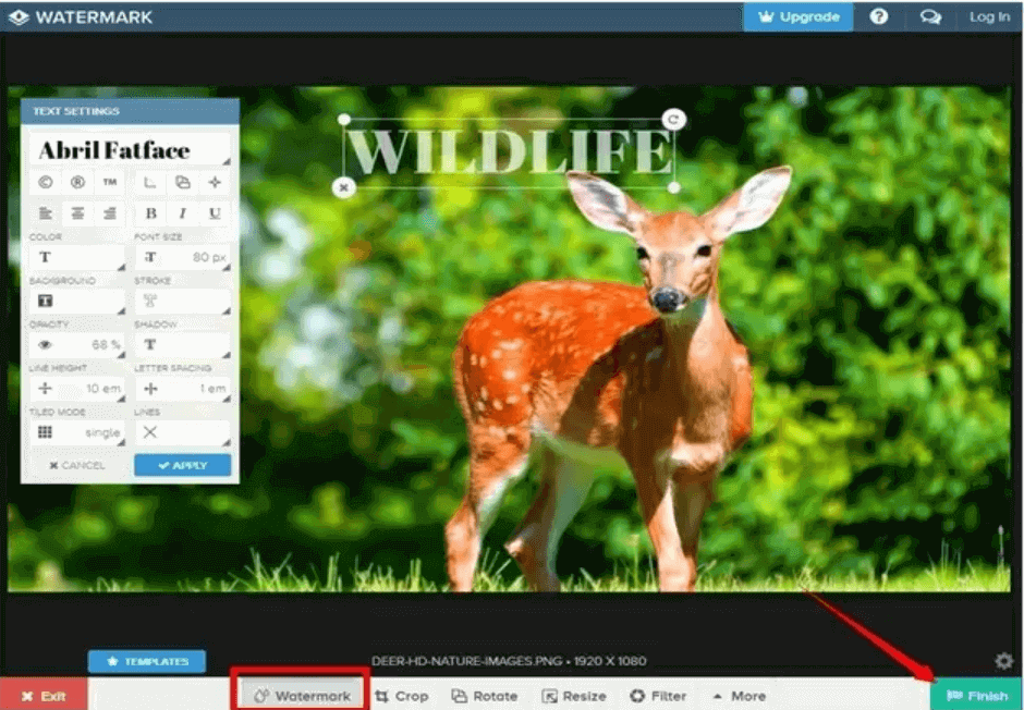 Start adding watermark online