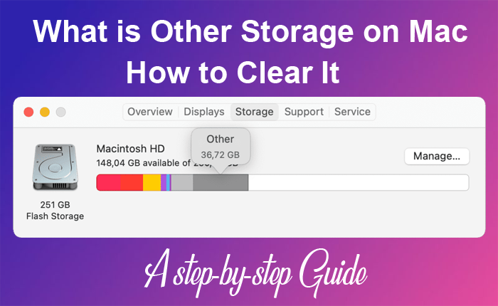 Other Storage on Mac - A Guide to Clear it