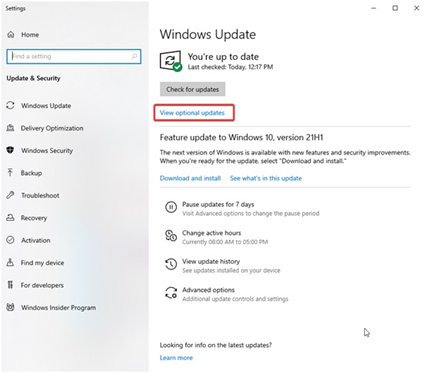 click the View optional updates option in Windows Update window